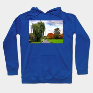 Autumn Trees Regent's Park London England Hoodie